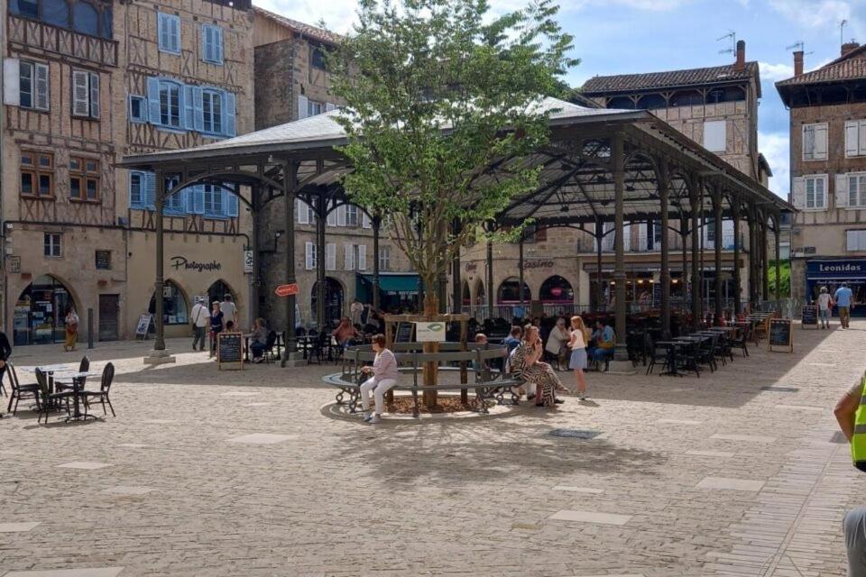 Studio De La Halle. Figeac Eksteriør billede